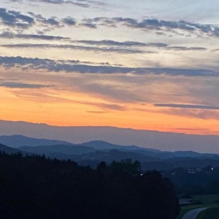 Fh Ausblick Villa Waldkirchen Luaran gambar